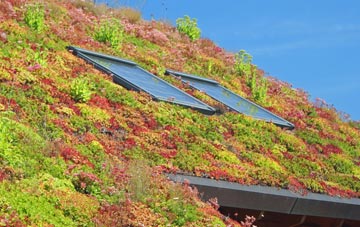 Leake Fold Hill living roof systems