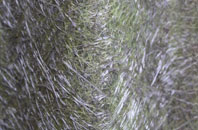 Leake Fold Hill fibreglass roof work